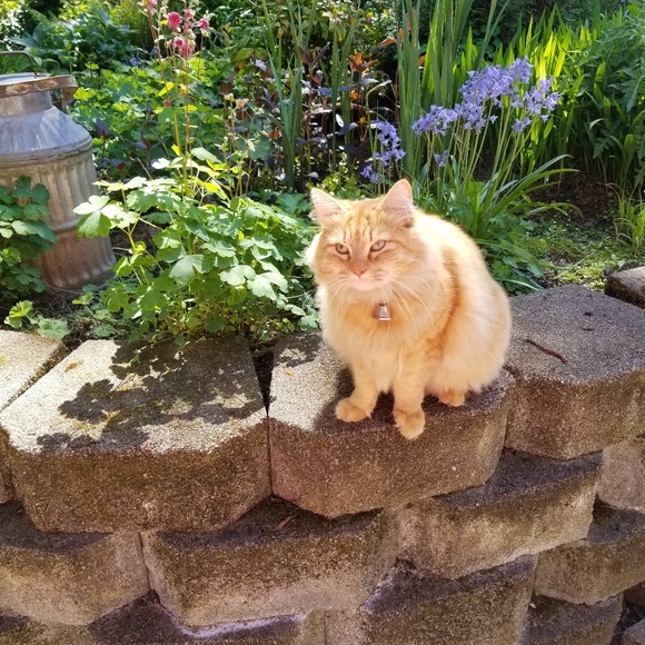 Feel free to make me a offer - Picture 2 of 3